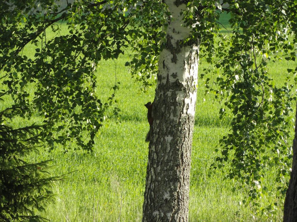 Kalliomajat Ylivalli Dış mekan fotoğraf